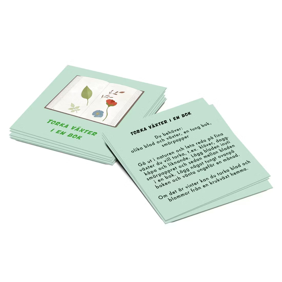 Aktivitetskort Naturen - 50 roliga saker utomhus